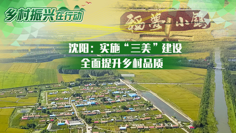 乡村振兴在行动｜沈阳：实施“三美”建设 全面提升乡村品质