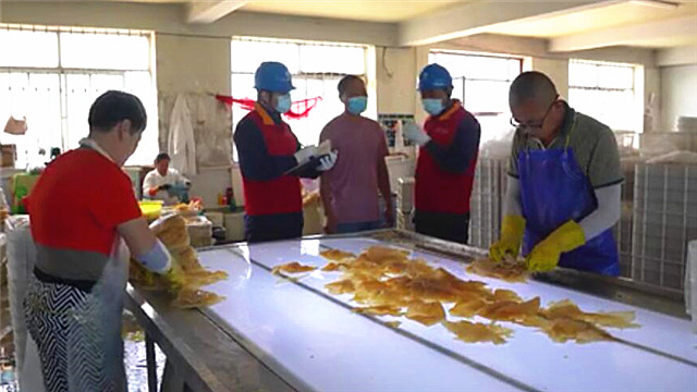电力助力营口海蜇加工企业保质保量生产