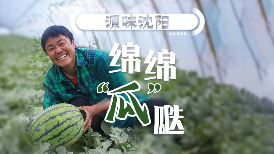 源味沈阳丨绵绵“瓜”瓞